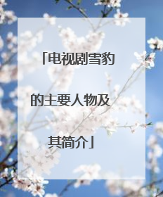 电视剧雪豹的主要人物及其简介