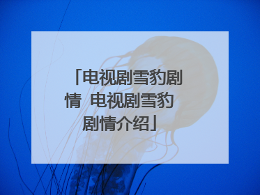 电视剧雪豹剧情 电视剧雪豹剧情介绍