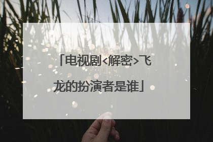 电视剧<解密>飞龙的扮演者是谁