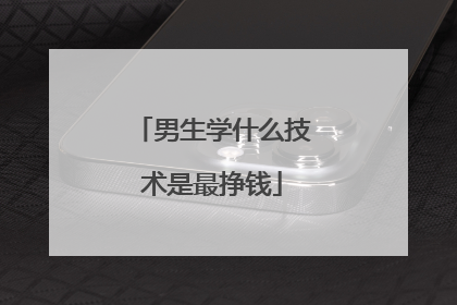 男生学什么技术是最挣钱