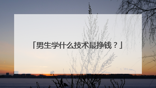 男生学什么技术最挣钱？