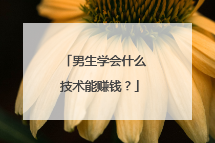 男生学会什么技术能赚钱？