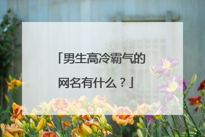 男生高冷霸气的网名有什么？