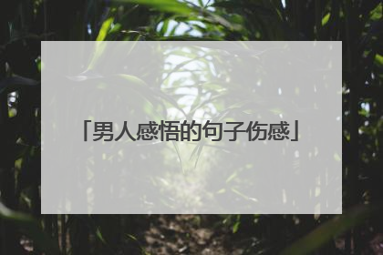 男人感悟的句子伤感