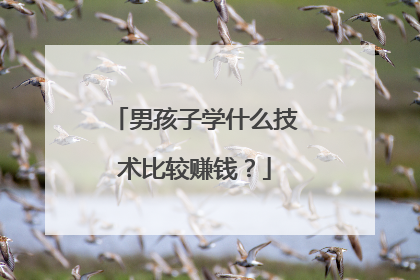 男孩子学什么技术比较赚钱？