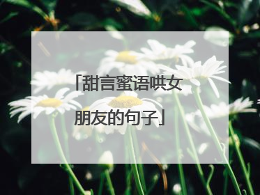 甜言蜜语哄女朋友的句子