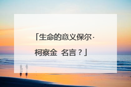 生命的意义保尔·柯察金 名言？