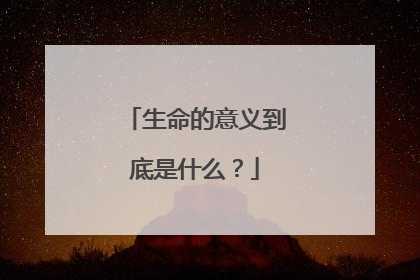 生命的意义到底是什么？