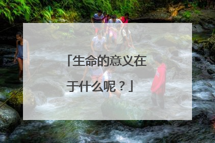 生命的意义在于什么呢?