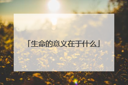 生命的意义在于什么