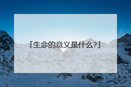 生命的意义是什么?