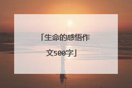 生命的感悟作文500字