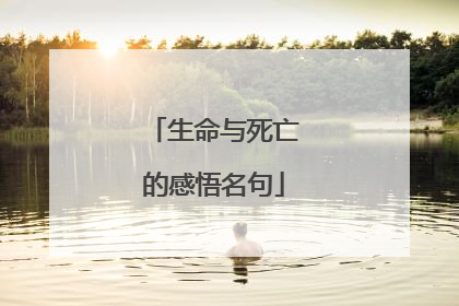 生命与死亡的感悟名句