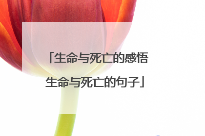 生命与死亡的感悟 生命与死亡的句子