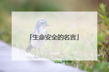 生命安全的名言