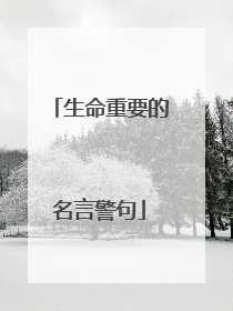 生命重要的名言警句