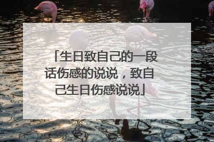 生日致自己的一段话伤感的说说，致自己生日伤感说说