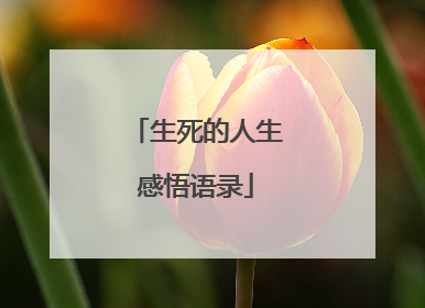 生死的人生感悟语录