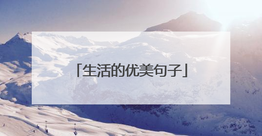 生活的优美句子
