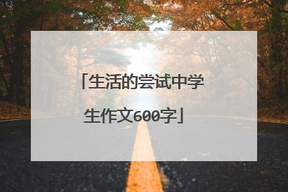 生活的尝试中学生作文600字