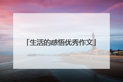 生活的感悟优秀作文