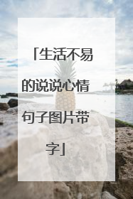 生活不易的说说心情句子图片带字