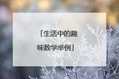 生活中的趣味数学举例