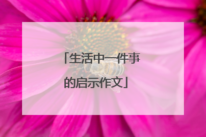 生活中一件事的启示作文