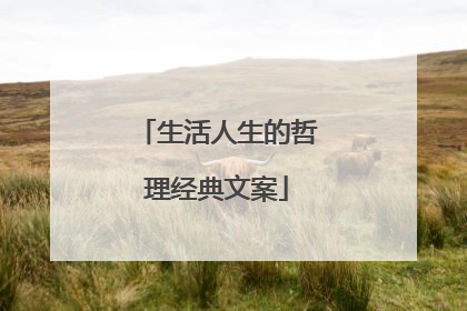 生活人生的哲理经典文案