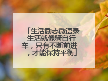 生活励志微语录 生活就像骑自行车，只有不断前进，才能保持平衡