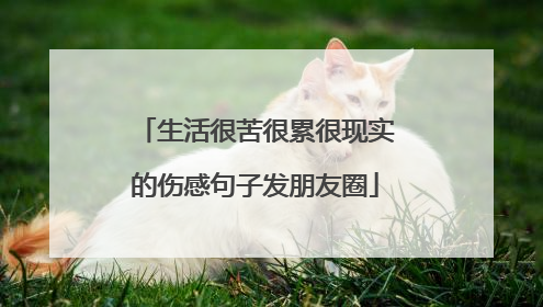 生活很苦很累很现实的伤感句子发朋友圈