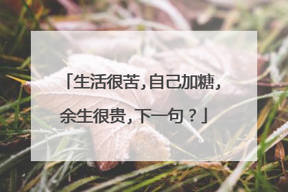 生活很苦,自己加糖,余生很贵,下一句？