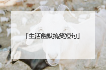 生活幽默搞笑短句