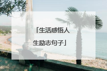 生活感悟人生励志句子