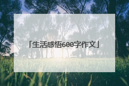 生活感悟600字作文