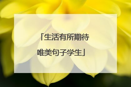 生活有所期待唯美句子学生