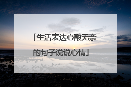 生活表达心酸无奈的句子说说心情