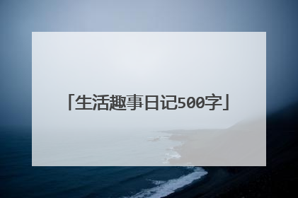 生活趣事日记500字