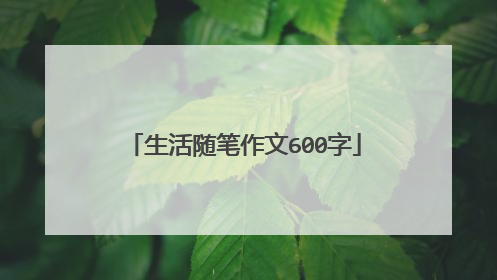 生活随笔作文600字