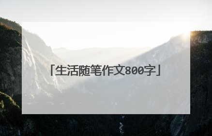 生活随笔作文800字