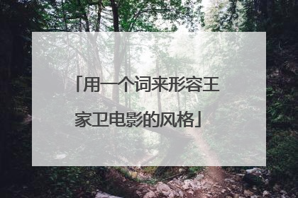 用一个词来形容王家卫电影的风格