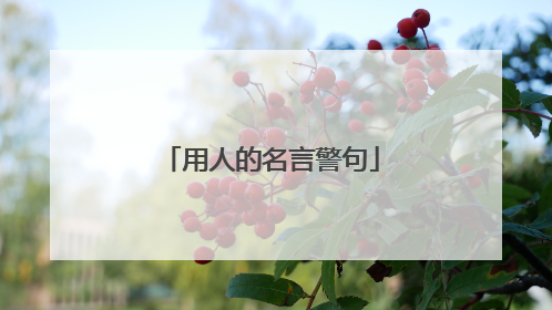 用人的名言警句