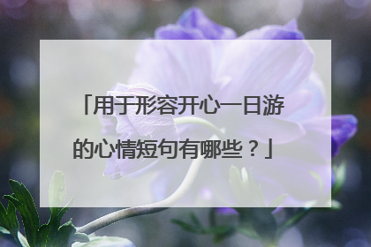 用于形容开心一日游的心情短句有哪些?