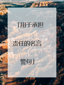用于承担责任的名言警句
