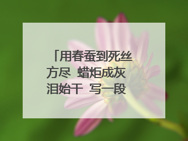 用春蚕到死丝方尽 蜡炬成灰泪始干 写一段赞美老师的话