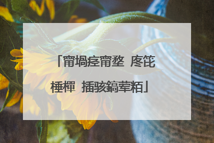 甯堝痉甯堥�庝笓棰樿�插骇鎬荤粨