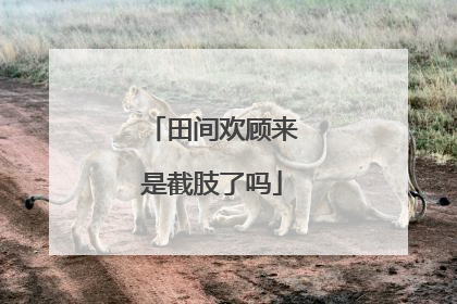 田间欢顾来是截肢了吗