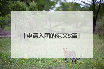 申请入团的范文5篇