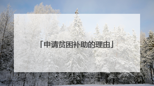 申请贫困补助的理由