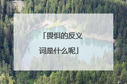 畏惧的反义词是什么呢